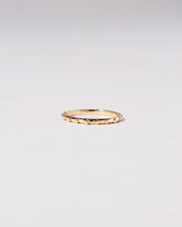 Gold Abacus Band on light color background.