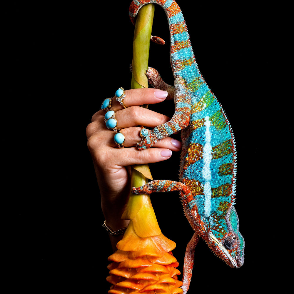 product_details::Styled image featuring Turquoise Rings on hand and live chameleon.