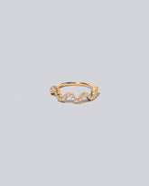 Low Tide band on light colored background.