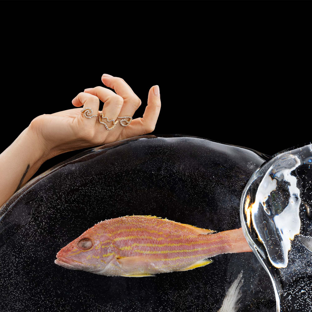 product_details::Styled image featuring Cyclone Band