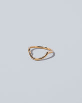 Left side view Exposition Band on light color background.