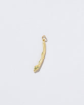  Asparagus Charm on light color background.
