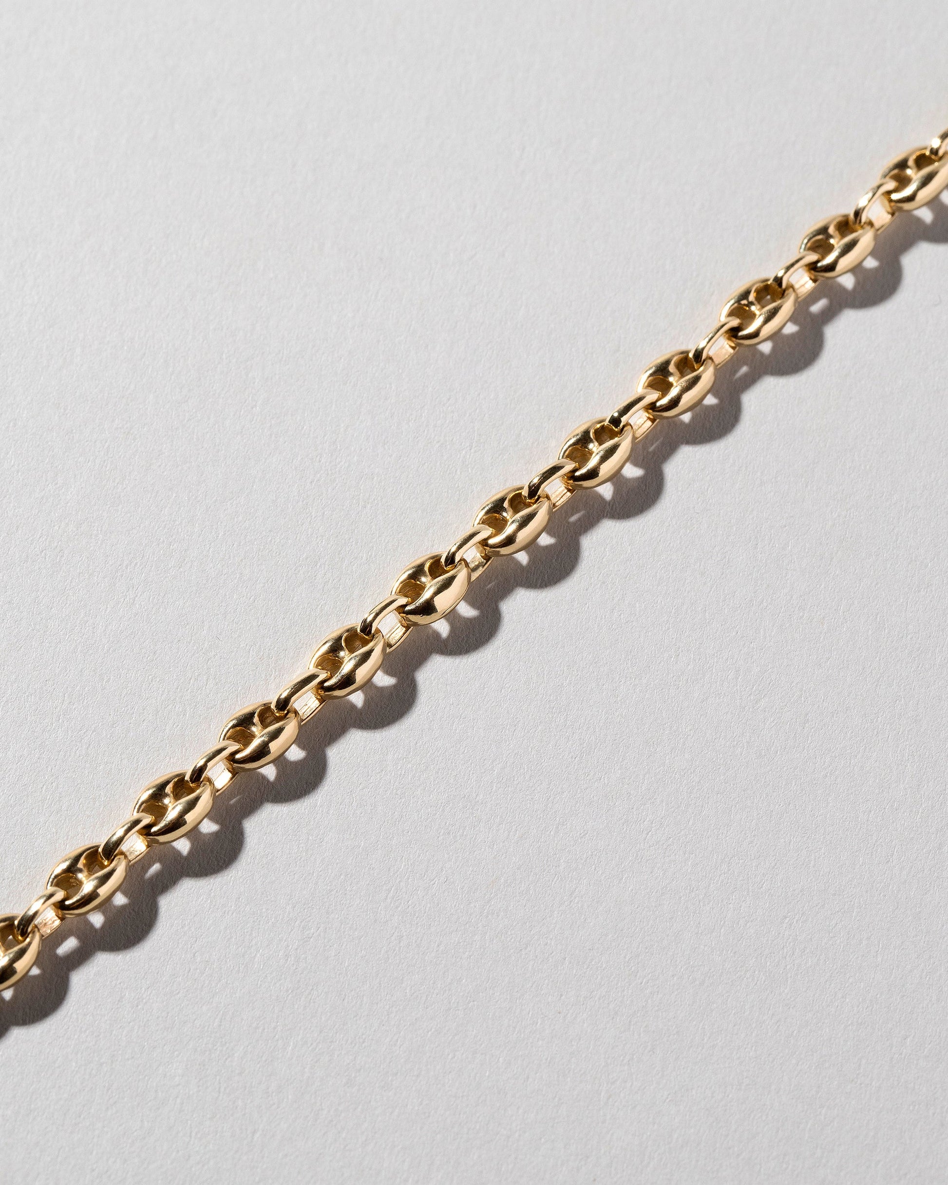  Segmented Chain Bracelet on light color background.