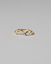 Squiggle Band - Solid on light color background.