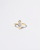 Parabola Ring on light color background.