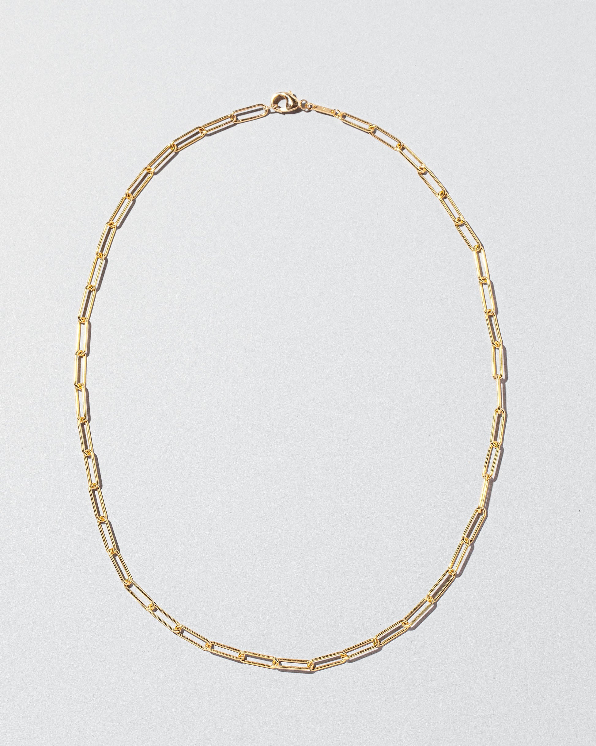 Long Oval Chain Necklace on light color background.