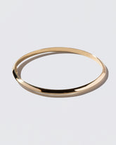Accordion Bracelet on light color background.