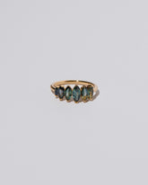 Hericium Ring on light color background.