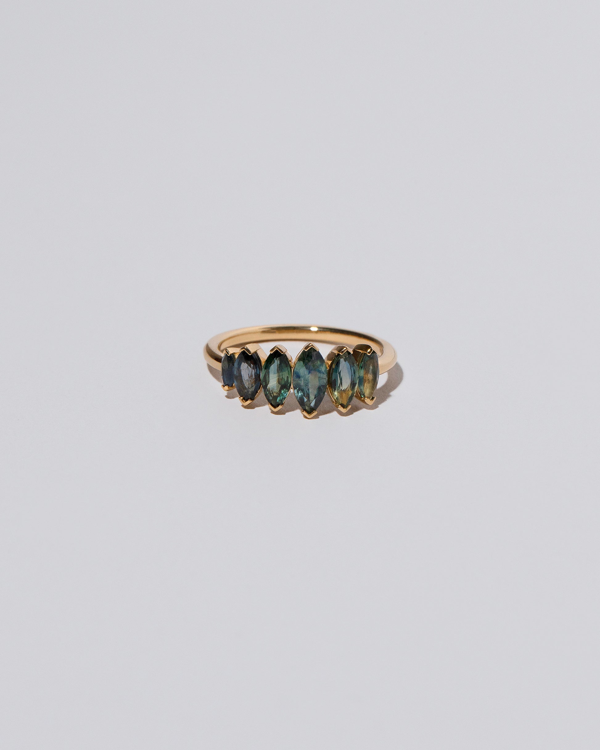 Hericium Ring on light color background.