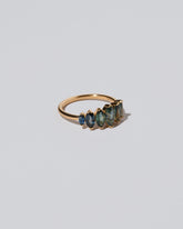 Hericium Ring on light color background.