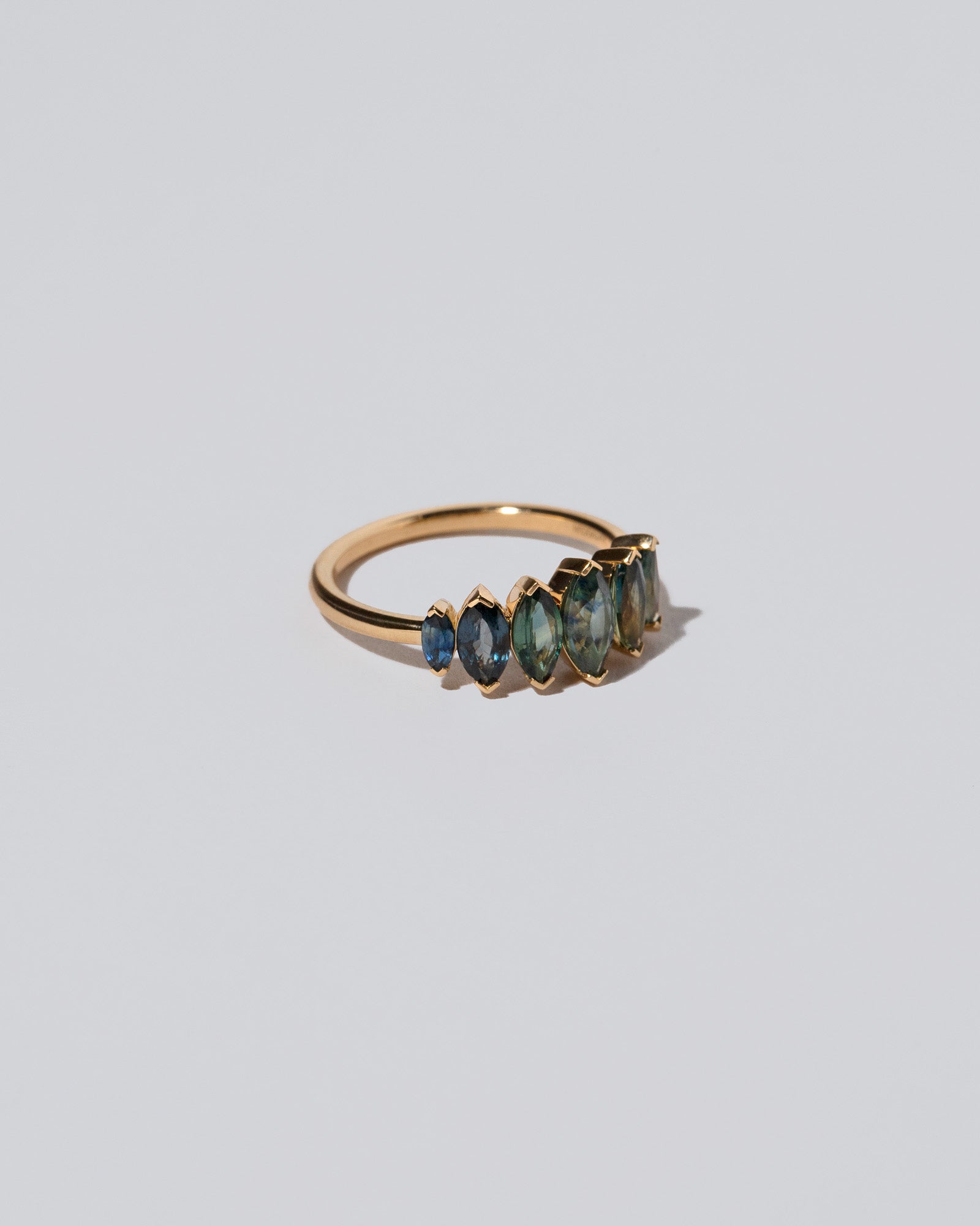 Hericium Ring on light color background.