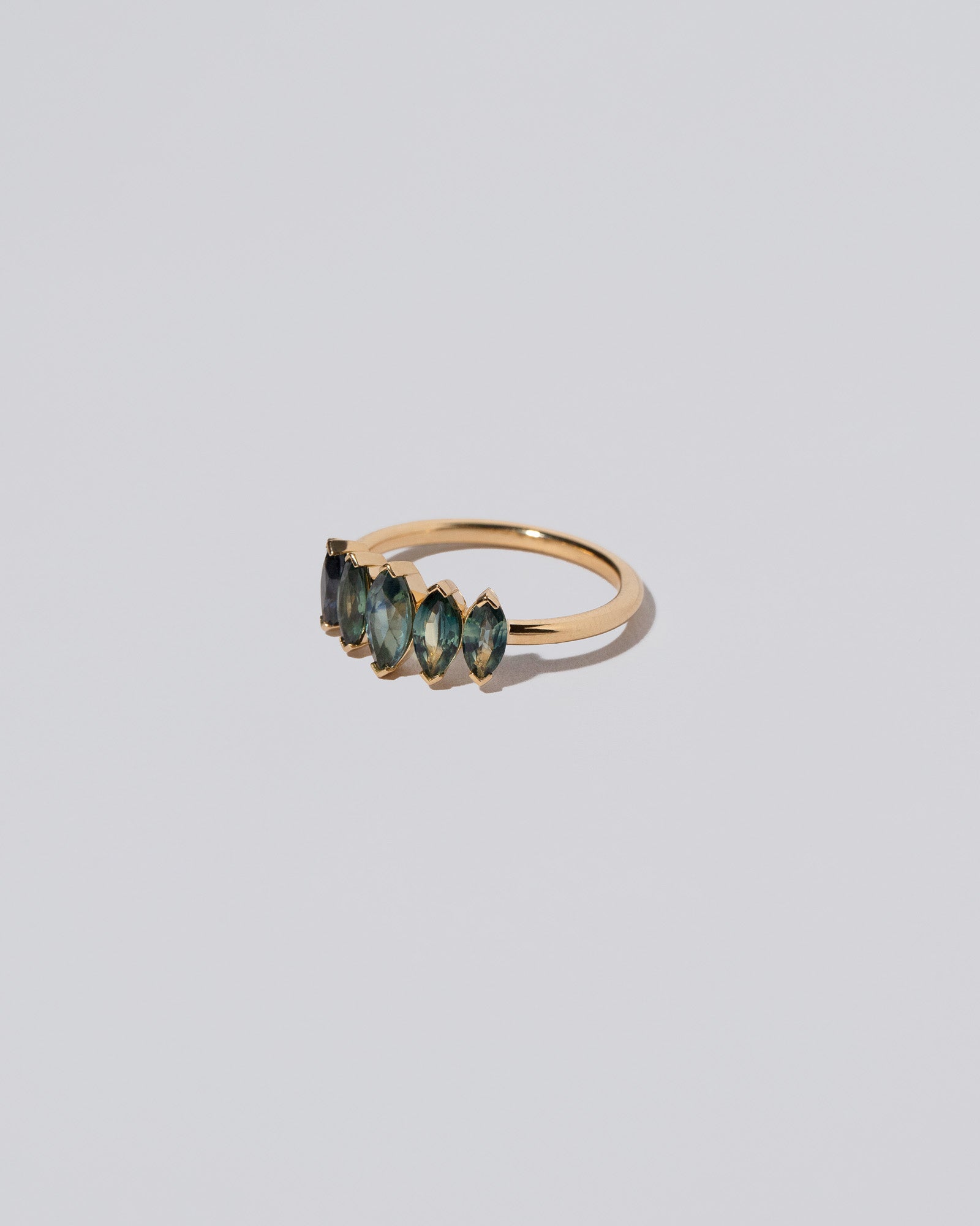 Hericium Ring on light color background.