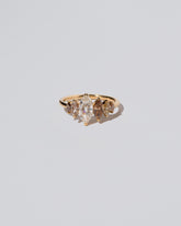 Hydnum Ring on light color background.