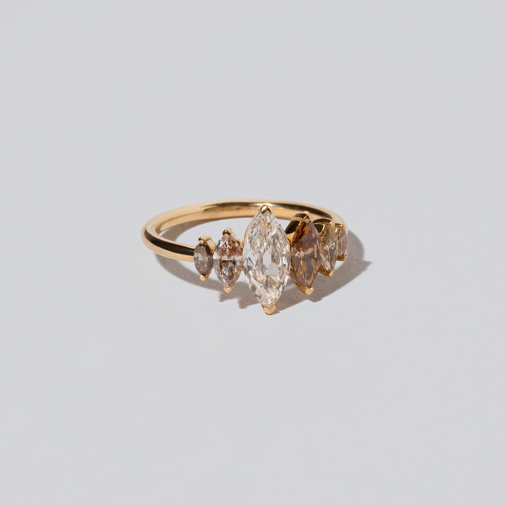 product_details::Hydnum Ring on light color background.