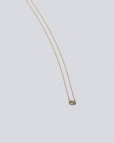 Guppy Necklace on light color background.