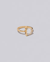 View from the side of the Pitch Ring on light color background.