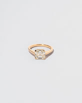 Integral Ring on light color background.