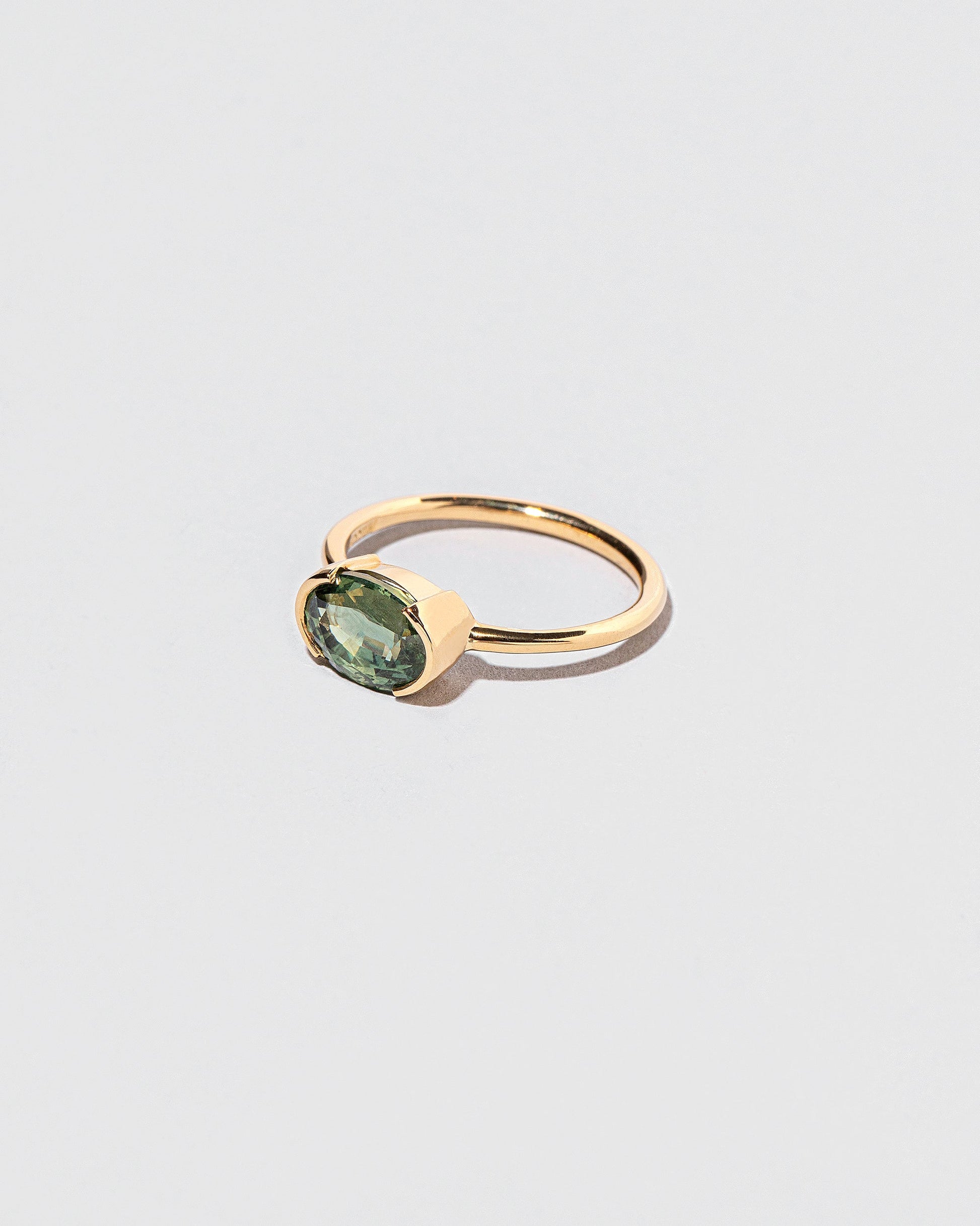 View from the side of the Fern Ring on light color background.