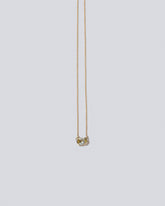 Guppy Necklace on light color background.