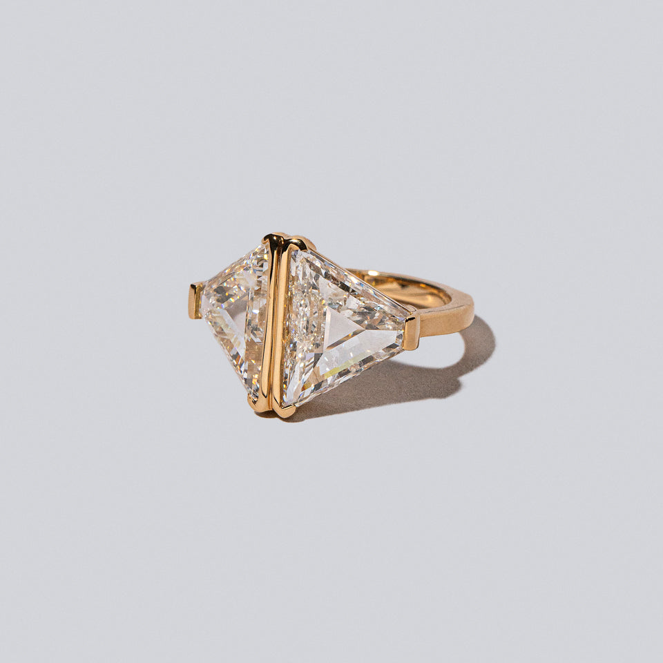 product_details:: Product photo of the Couplet Ring on a light color background 