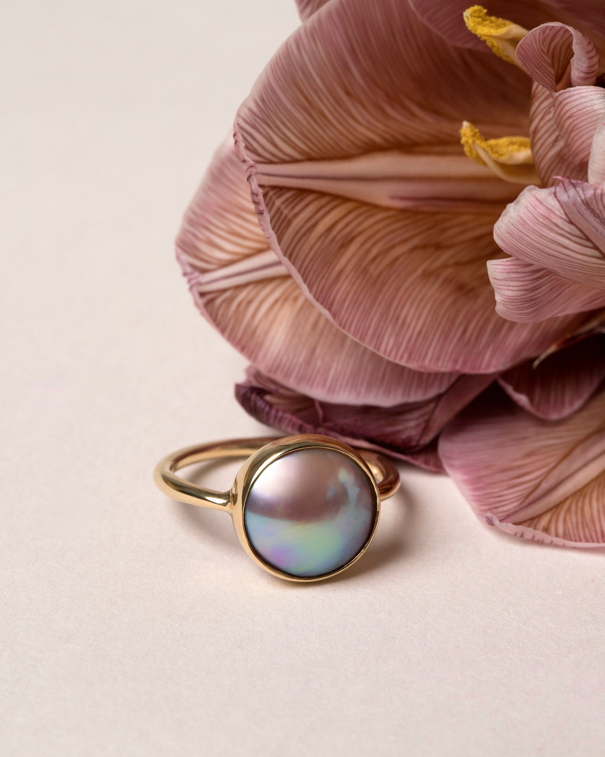  Albert Ring on light color background.