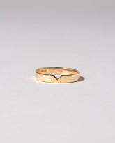  Triangle Notch Band - 4mm on light color background.