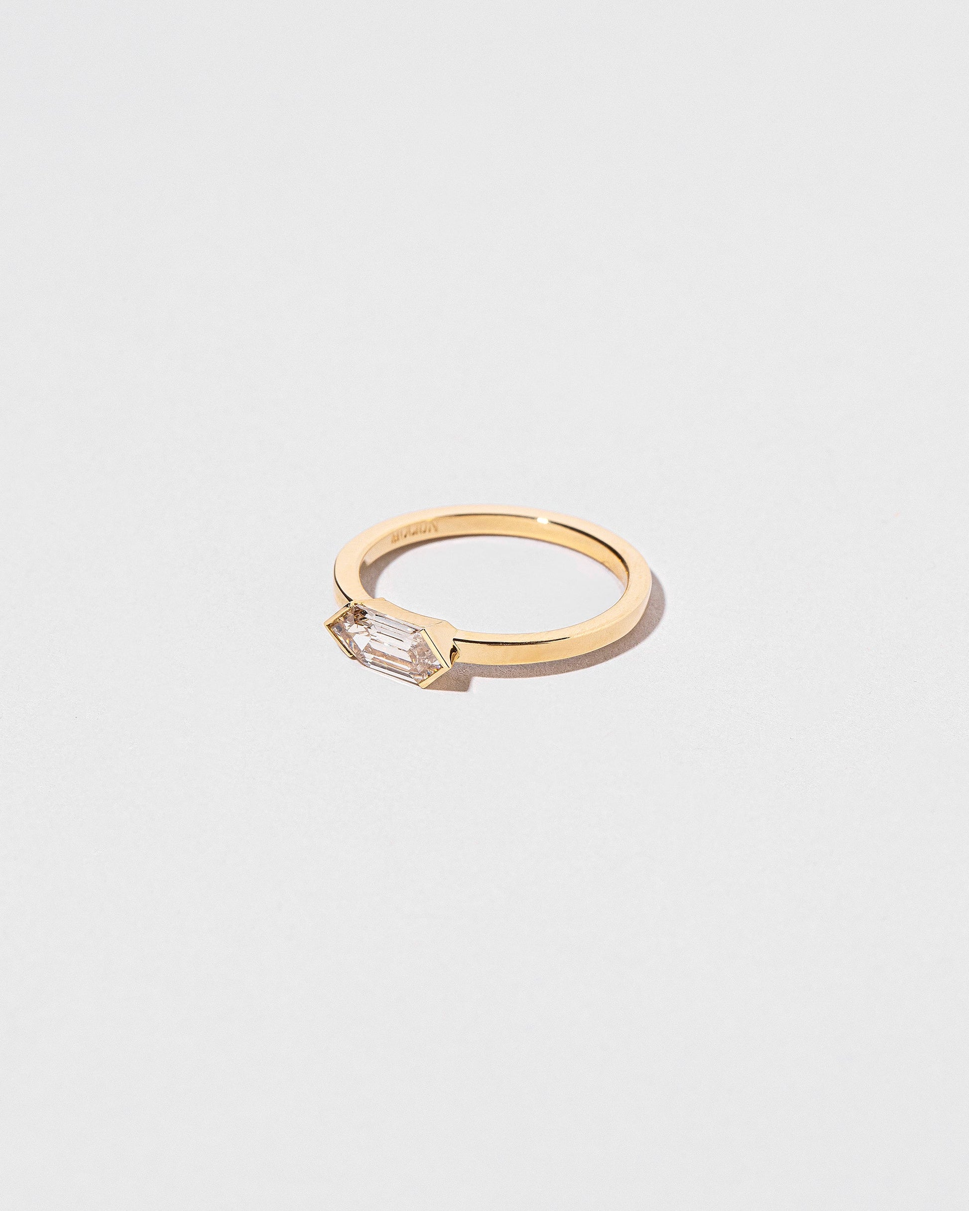 View from the side of the Ergodic Ring on light color background.