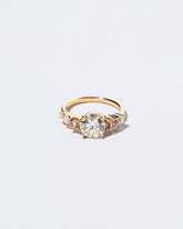  Auriga Ring on light color background.