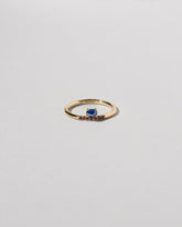  Stacked Ring - Sapphire & Ant Hill Garnet on light color background.