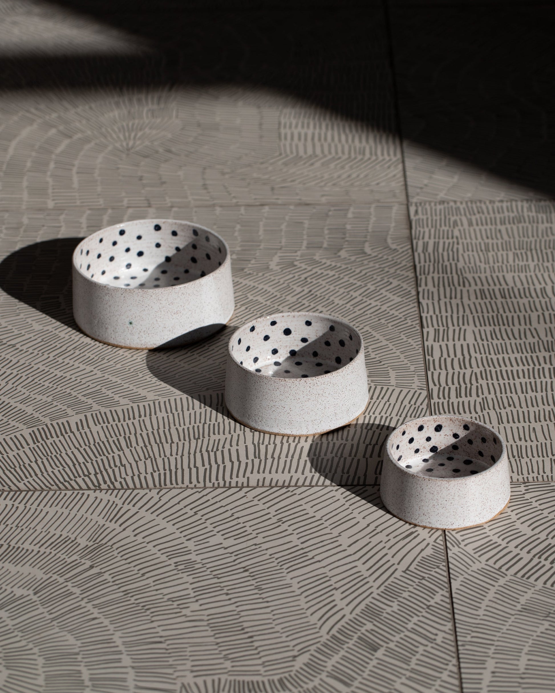 Styled image featuring Recreation Center Small, Medium and Large Dog Bowls.