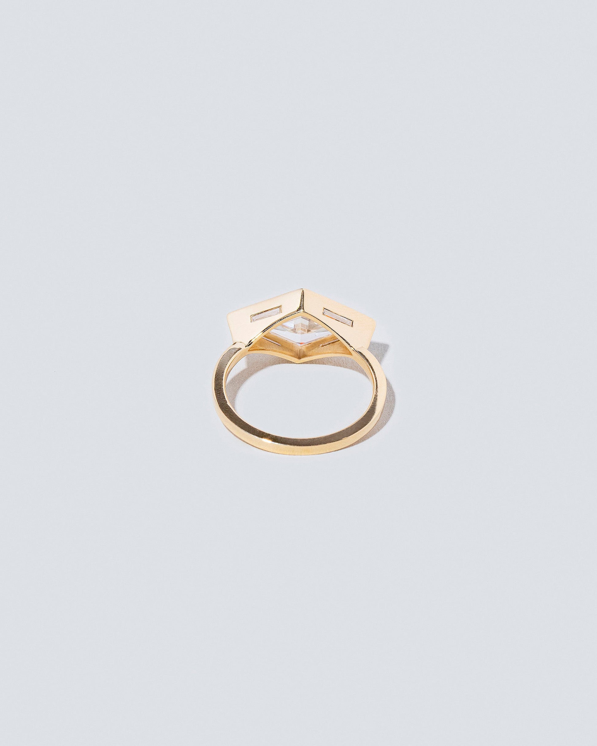 View from the back of the Fairmont Ring on light color background.